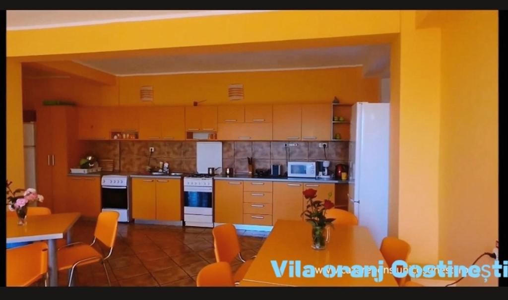 科斯蒂内什蒂 Vila Oranj酒店 外观 照片